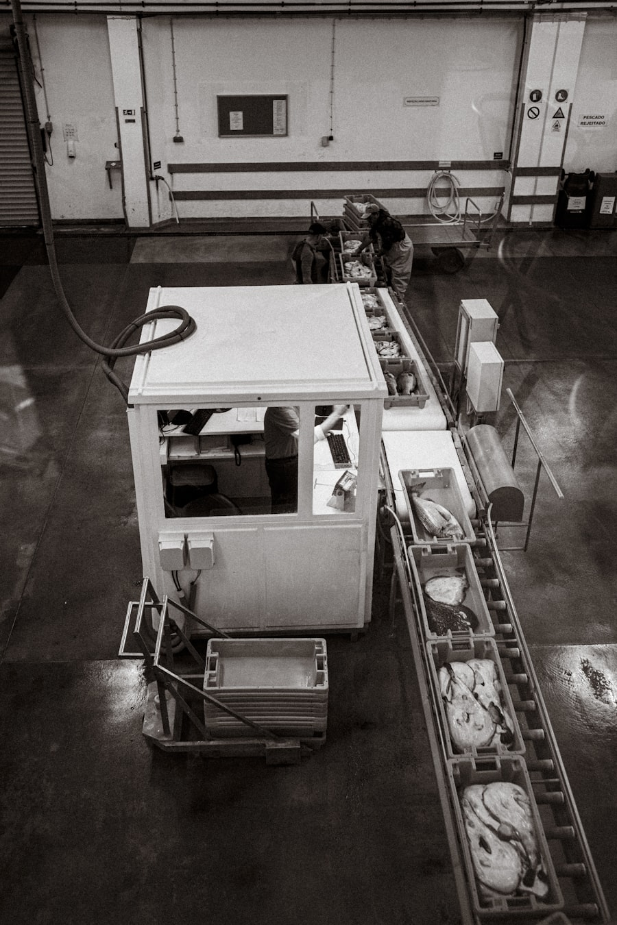 Agro-Processing