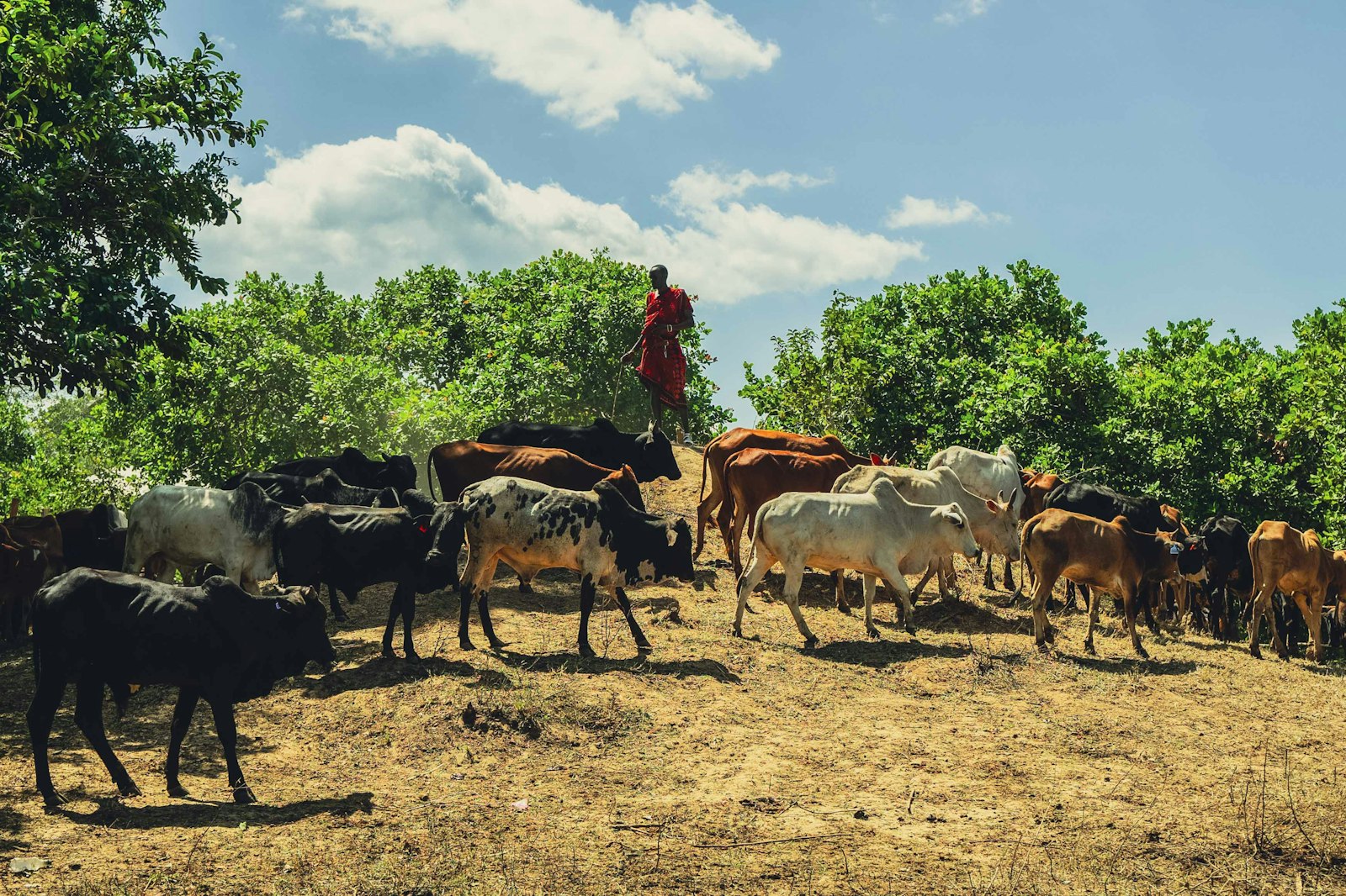 Farmer capacity-building in Kaduna State.