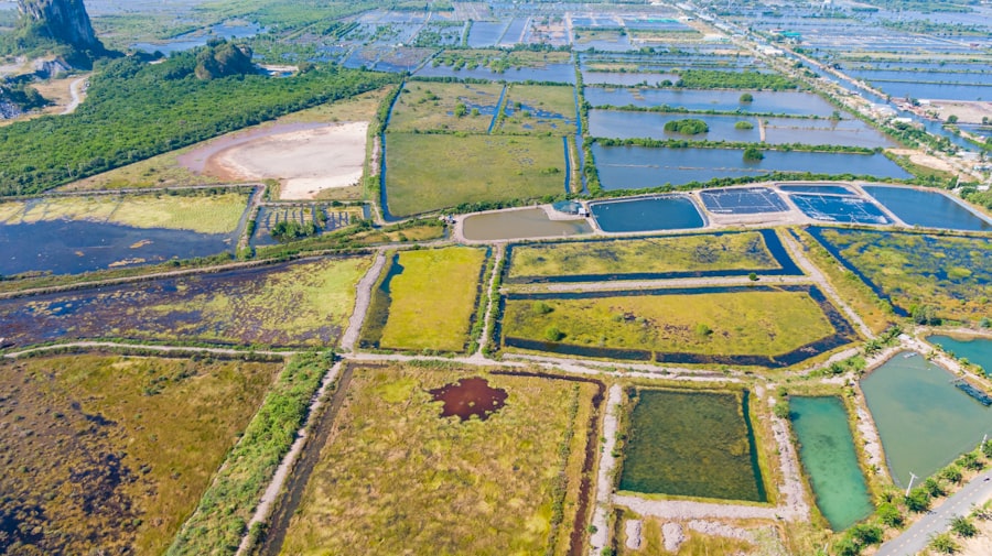 Aquaculture